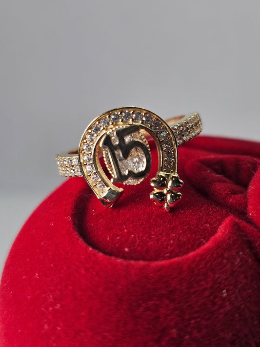 Anillo de 15 Años 14k