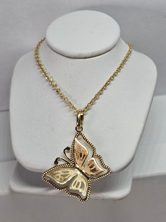 Set Dige Mariposa y cadena 14k