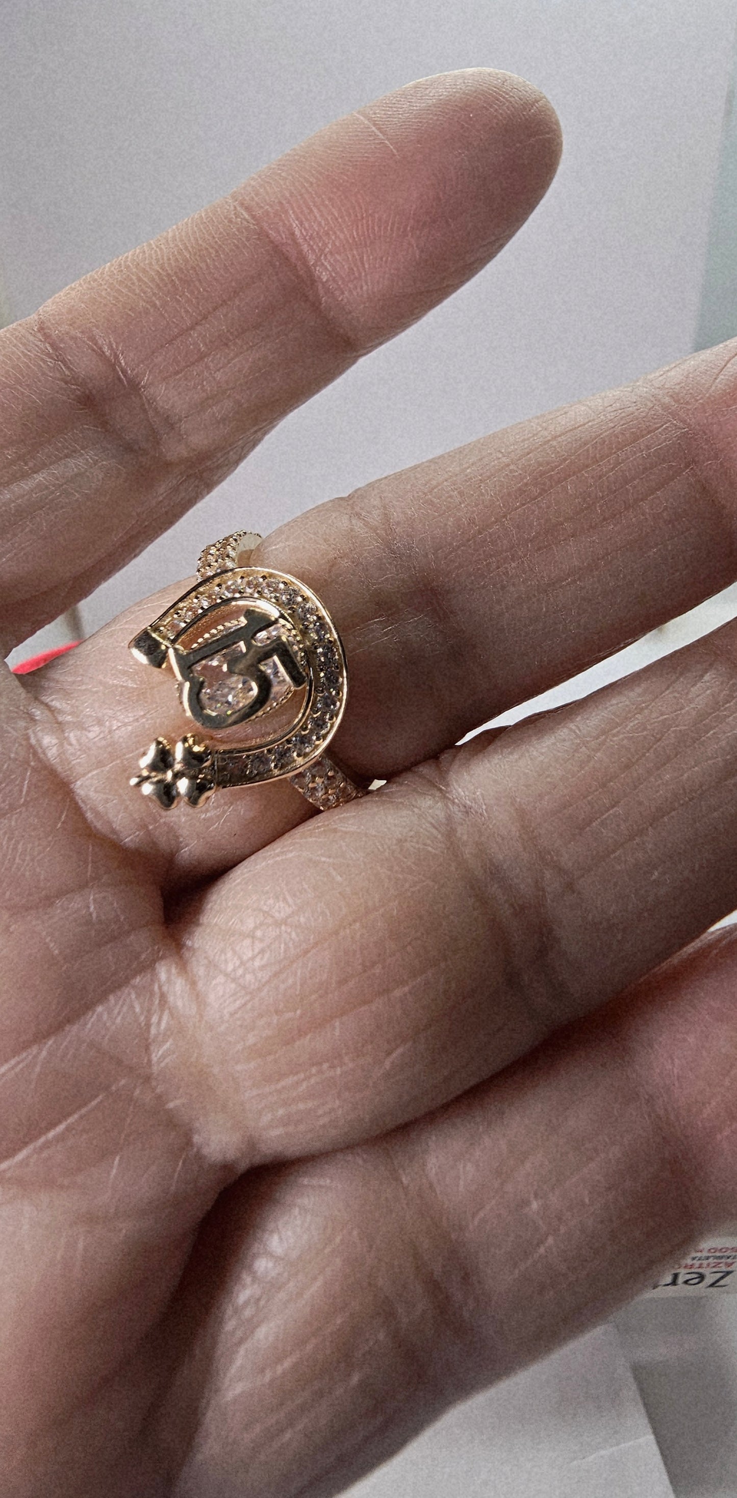 Anillo de 15 Años 14k