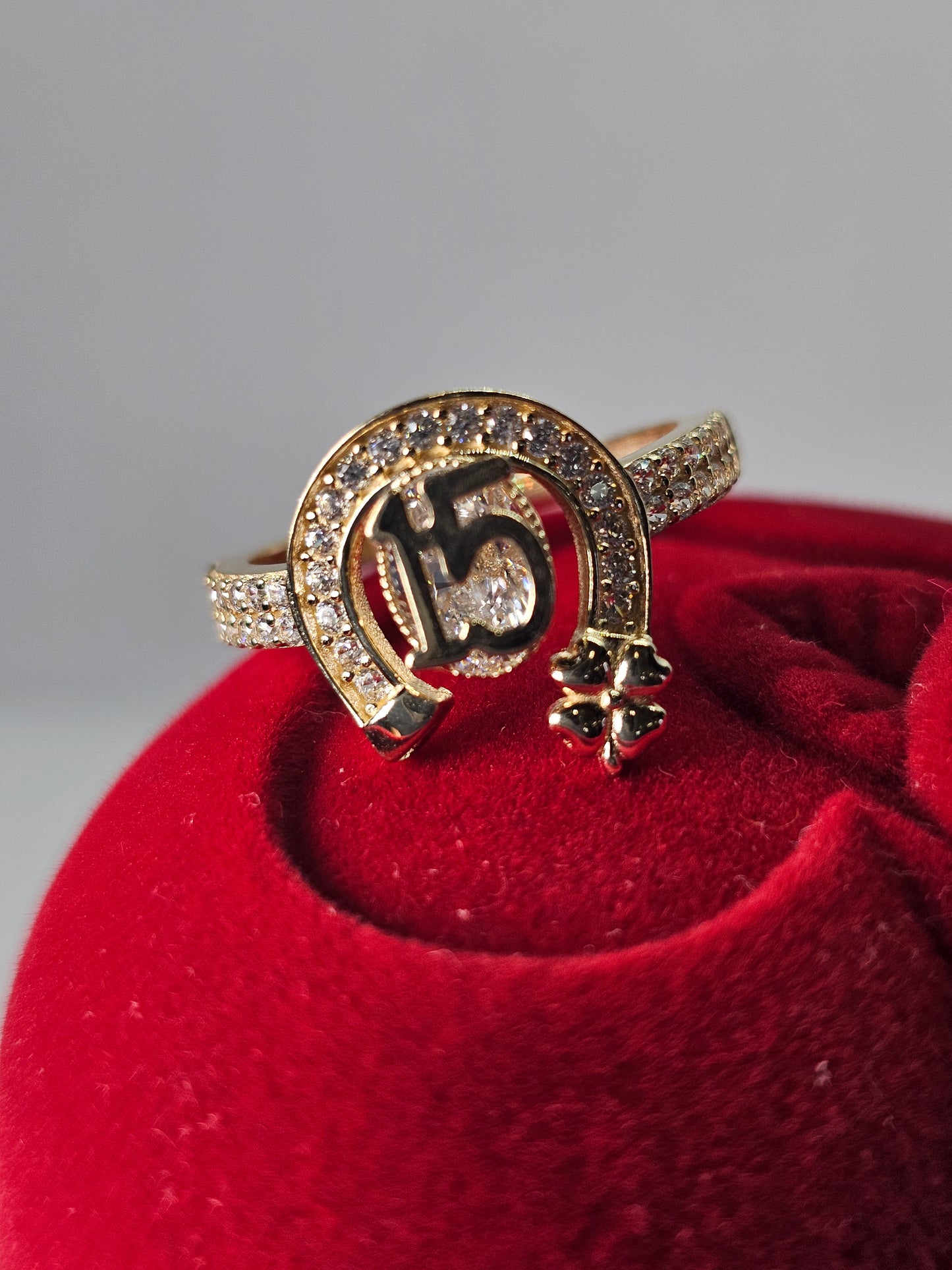 Anillo de 15 Años 14k