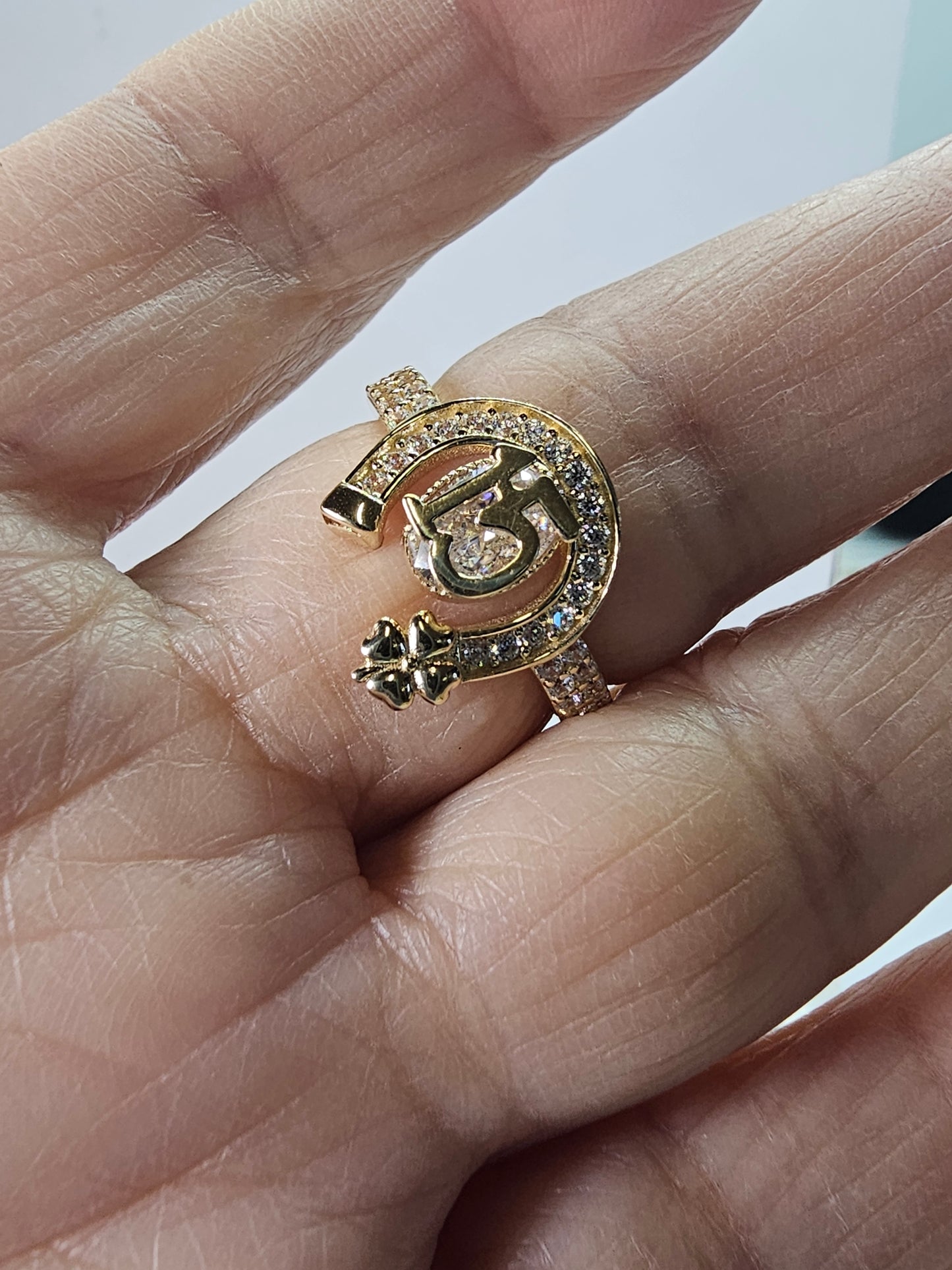 Anillo de 15 Años 14k