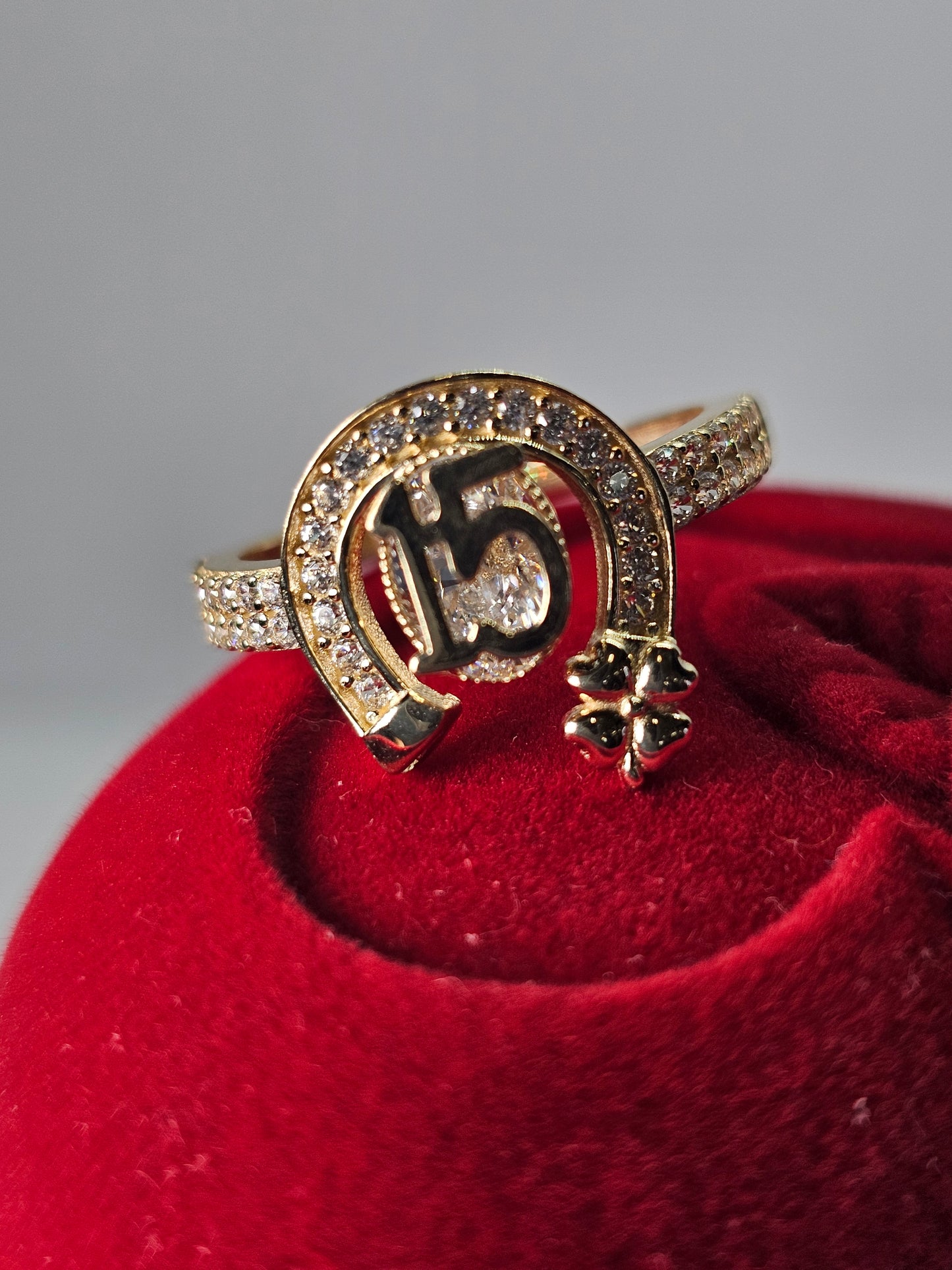 Anillo de 15 Años 14k