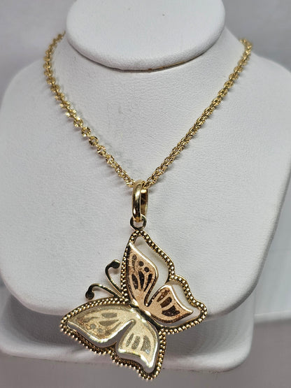 Set Dige Mariposa y Cadena 14k