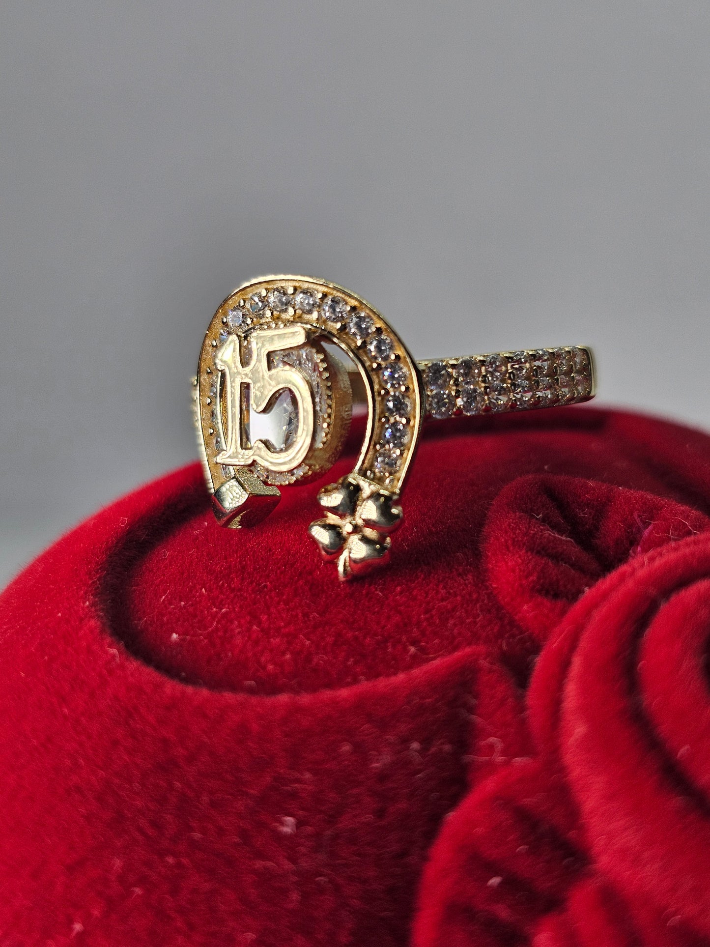 Anillo de 15 Años 14k