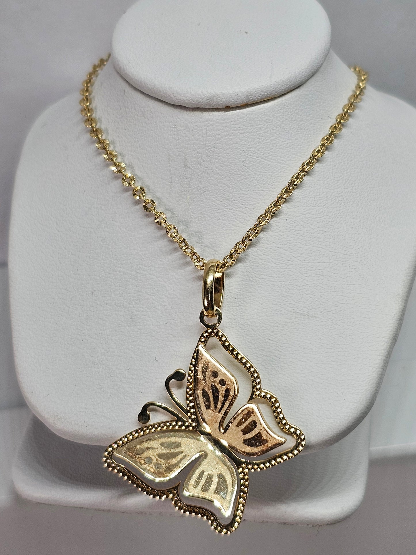 Set Dige Mariposa y cadena 14k