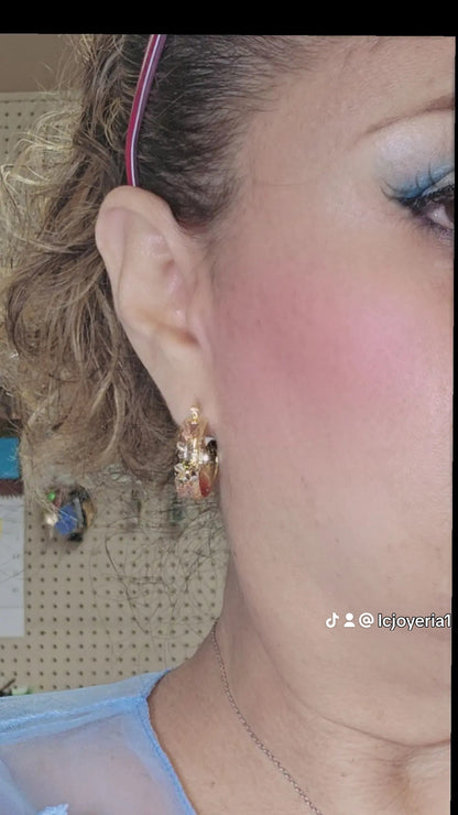 14K Gold Butterfly Hoop Earrings - Arracada 14k oro Mariposa